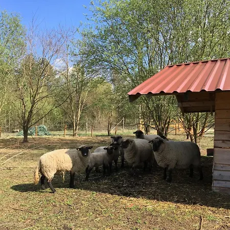 Holiday home Ferienhaus Fur Bis Zu 4 Personen Zur Waldseite - #125250 *